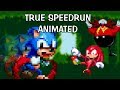 Sonic 3 TRUE legit speedrun animated in 6:20