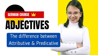 German Course Adjectives Attributive Vs. Predicative Lesson 14