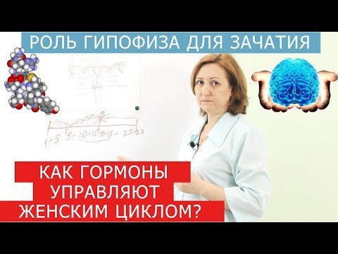 Как гормоны влияют на зачатие? Эндометриоз и беременность.