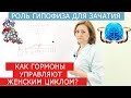 Как гормоны влияют на зачатие? Эндометриоз и беременность.