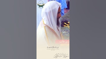 و ما صاحبكم بمجنون #أحمد_بن_طالب #سورة #التكوير  #المصحف #اكسبلور #القرآن_الكريم #لايك #حالات_واتس