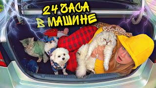 24 часа В МАШИНЕ С КОТАМИ в ГРОЗУ! ЗАГЛОХЛИ БЕЗ БЕНЗИНА!