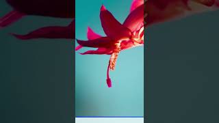 Apnay Systems ko Mehfooz Rakho #shorts #ytshorts #windows #accessibletech | Code and Big Apple