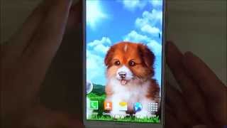 Puppy Wallpaper - free live wallpaper for Android phones and tablets screenshot 2