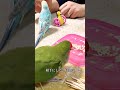 インコちゃんが飼い主に興味を無くすので実はやってはいけないこと　Parrot loses interest in owner