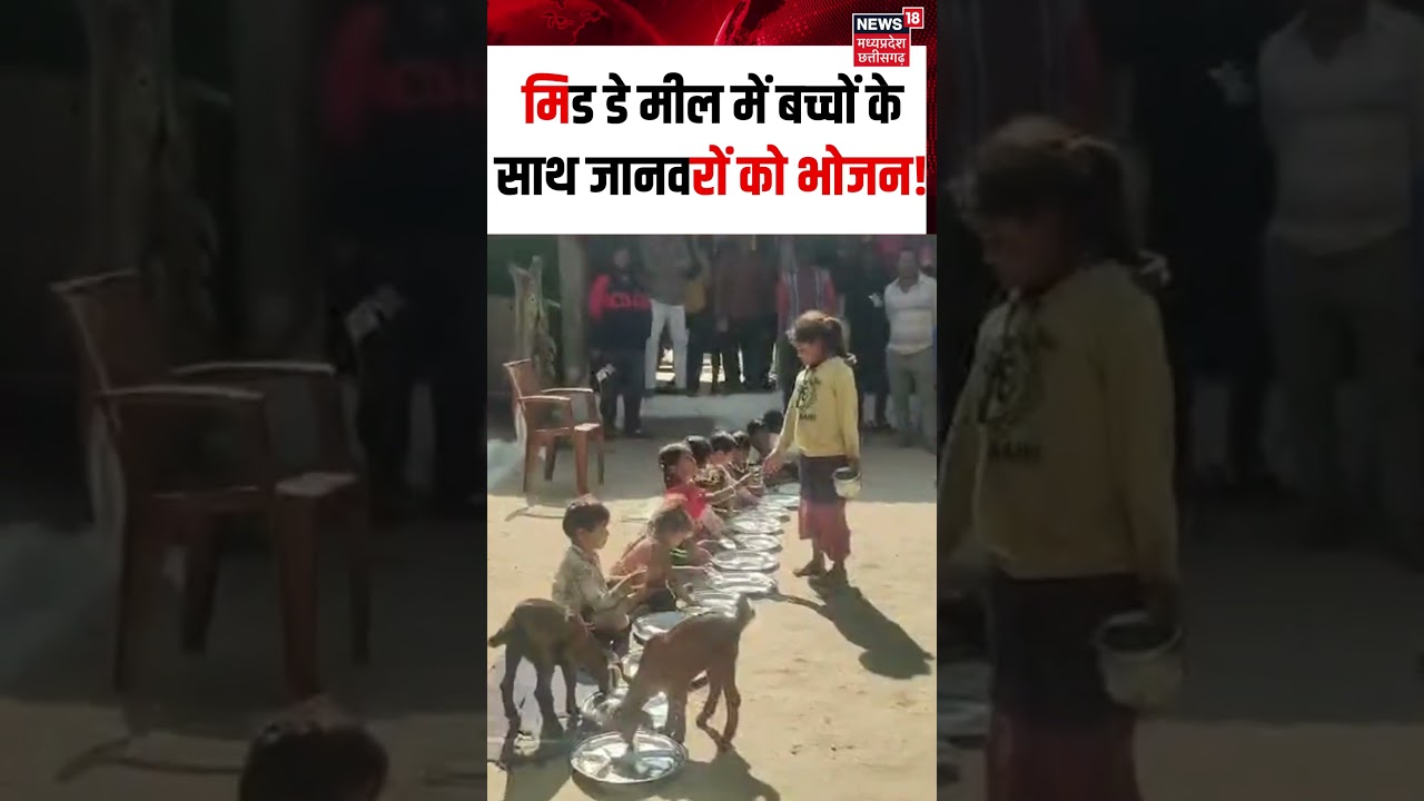 Katni Viral Video : छोटे-छोटे बच्चों के साथ बकरियां भी मध्यान भोजन करती नजर आईं। shorts | N18S |