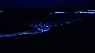 Overcome stress to sleep instantly with ocean sounds and waves on the beach at night.