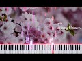 벚꽃 | Cherry Blossom - 악토버 | October (Midi & Sheet)