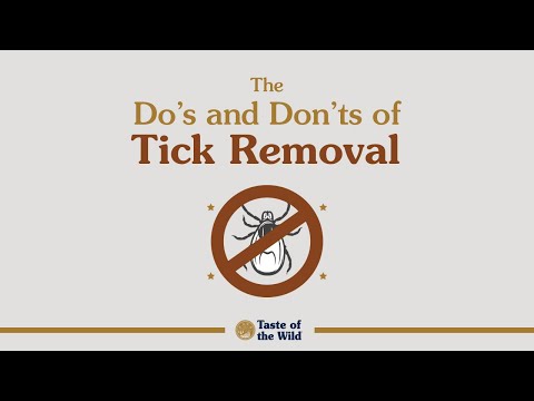 Video: Do's And Don'ts Of Tick Disposal