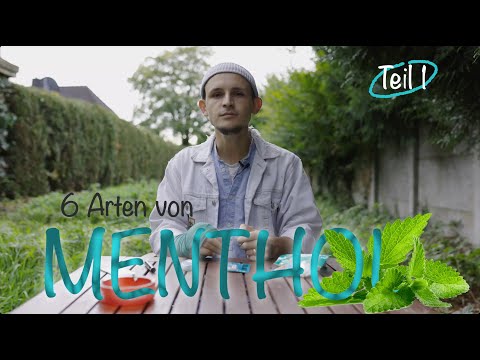 Video: Was ist der Unterschied zwischen Menthol und Nicht-Menthol?