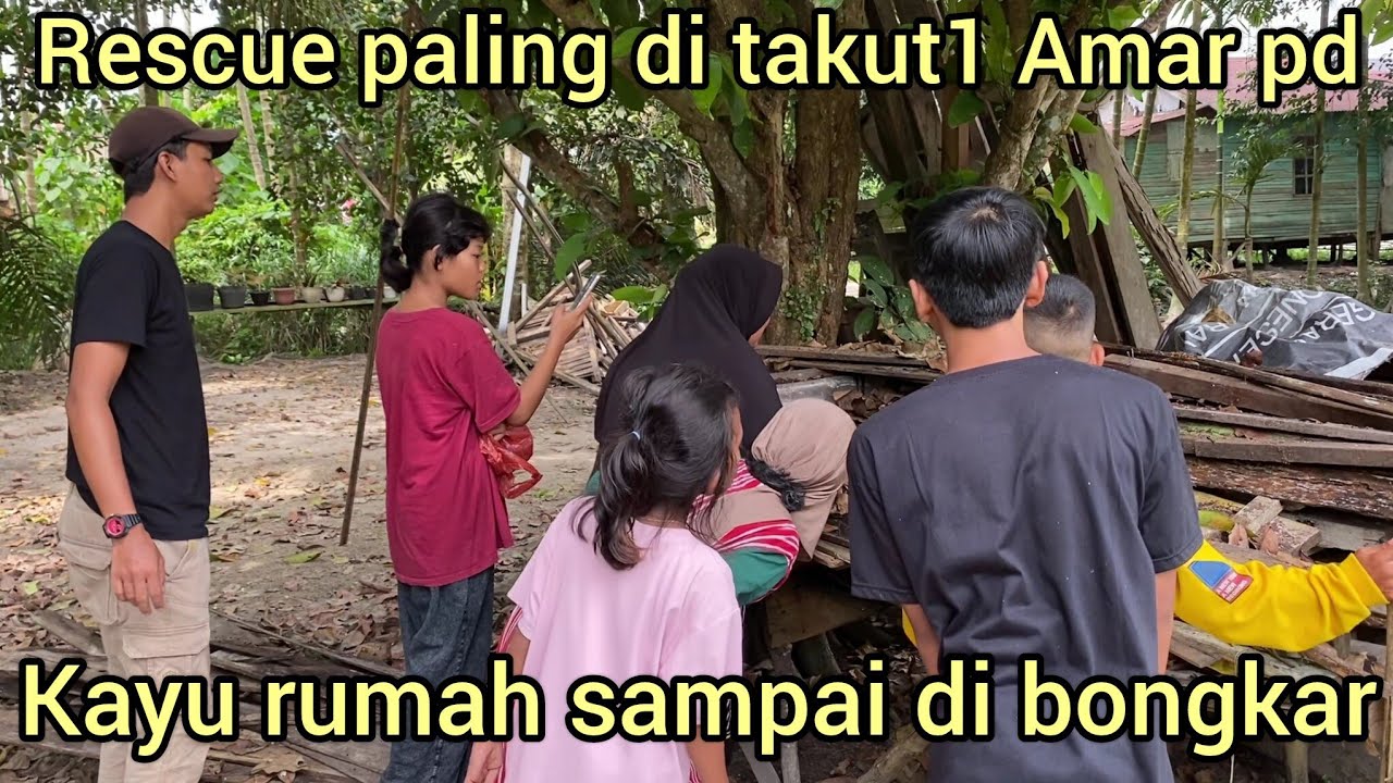 RESCUE SAMPAI KAYU RUMAH DI BONGKAR AMAR PD SAMPAI MUNDUR MELIHAT HEWAN INI