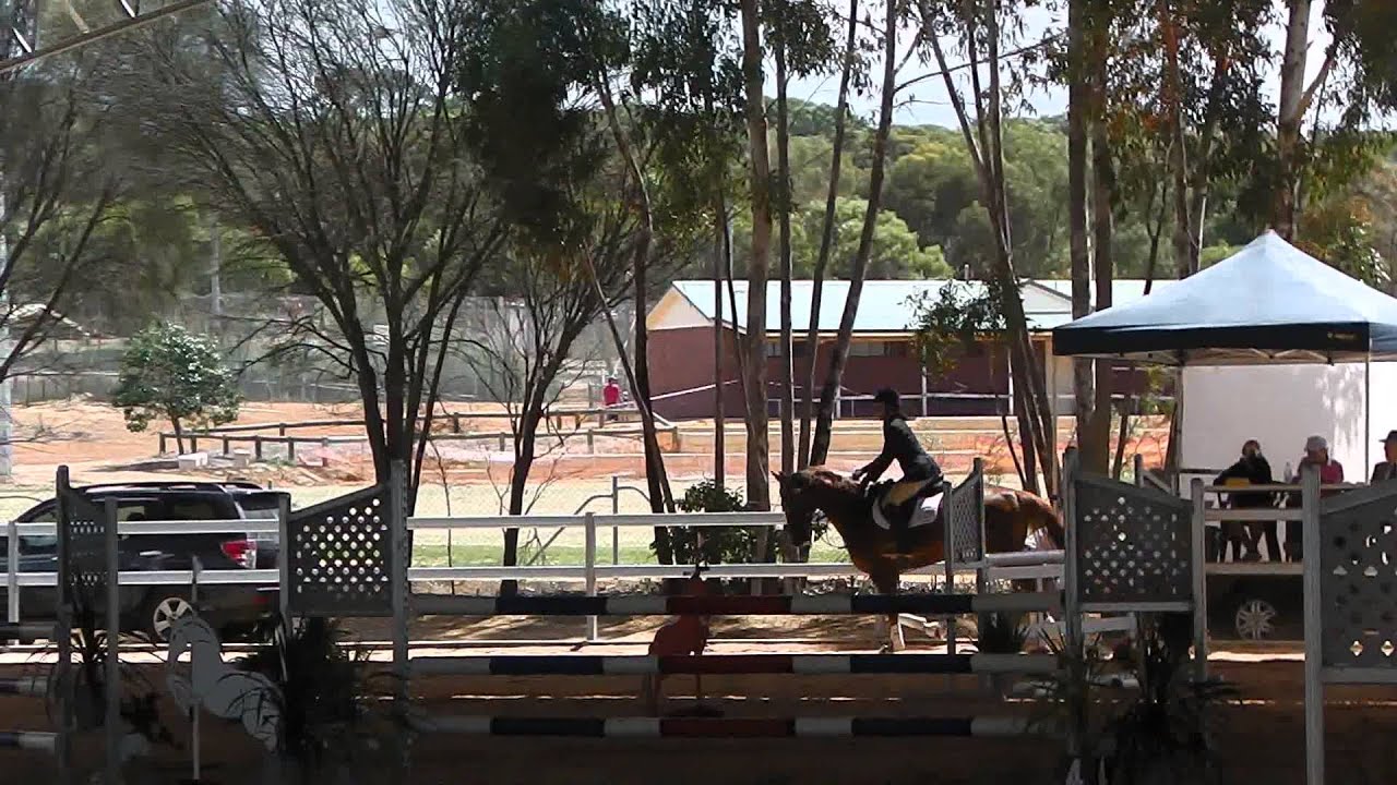 Rough Diamond Dryandra SJ 2012