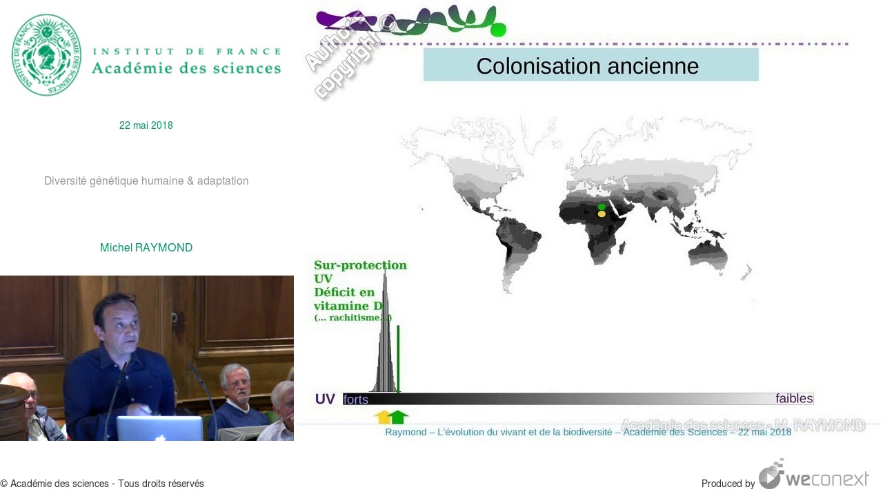 [Conférence] M. RAYMOND - Diversité génétique humaine & adaptation
