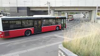 Autobus Linie 97A Hausfeldstraße in Wien