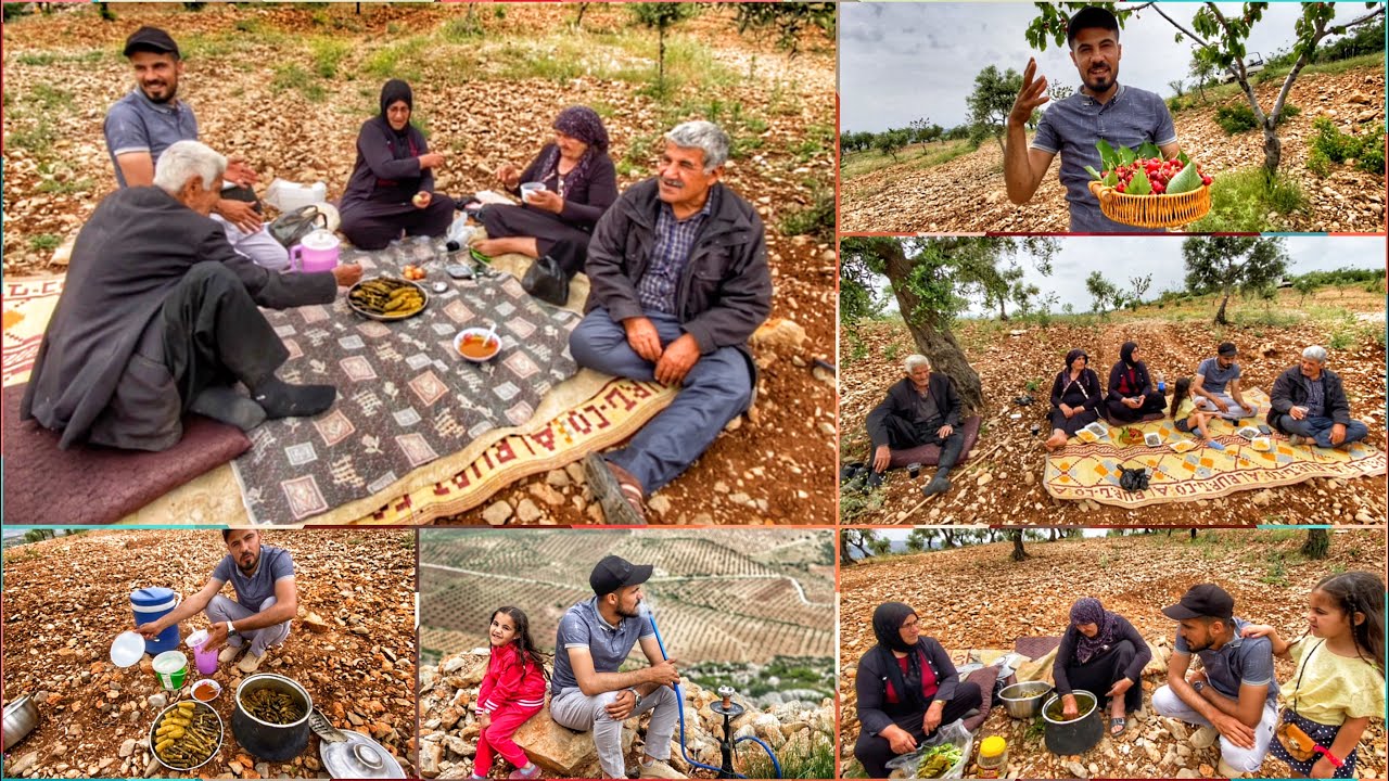أروع سيران مع أطيب ناس في أعالي جبال عفرين وطبخ في الهواء الطلق بين أشجار الزيتون والكرز