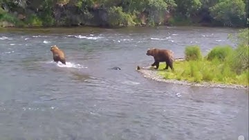 856 & 410:  25 June 2015