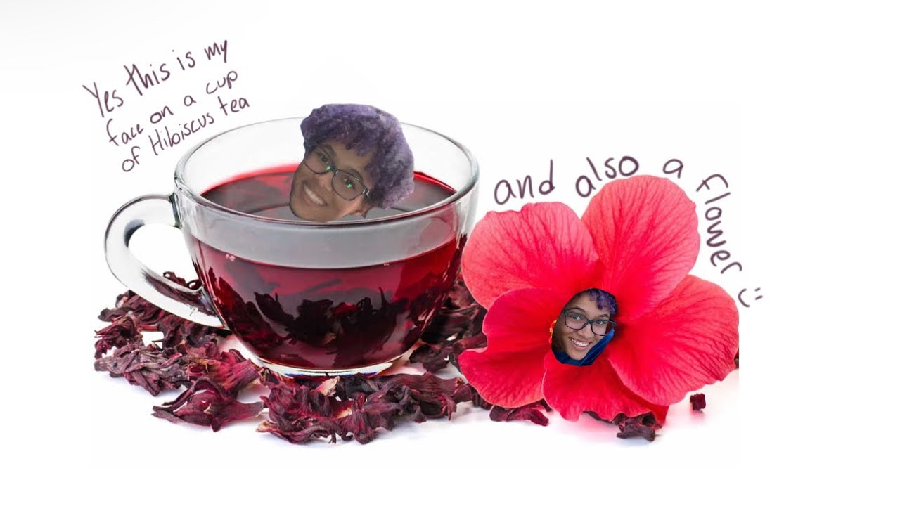 Sweet Hibiscus Tea cover YouTube