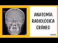 Anatomía Radiológica - Radiología Convencional: Cráneo.