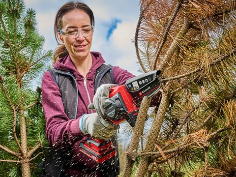 Пила ланцюгова акумуляторна міні Einhell GE-PS 18/15 Li BL - Solo Шина 158 мм Без АКБ і ЗП, видео 1