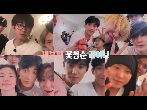 [세븐틴] 꽃청춘 새벽 라이브 • 원우가 말벌 아저씨가 된 것에 대하여… • 라이브 편집🫧