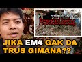 JIKA EM4 SULIT DI DAPAT || TERNAK KAMBING