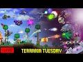 Vanexx Learns How To Play TERRARIA!