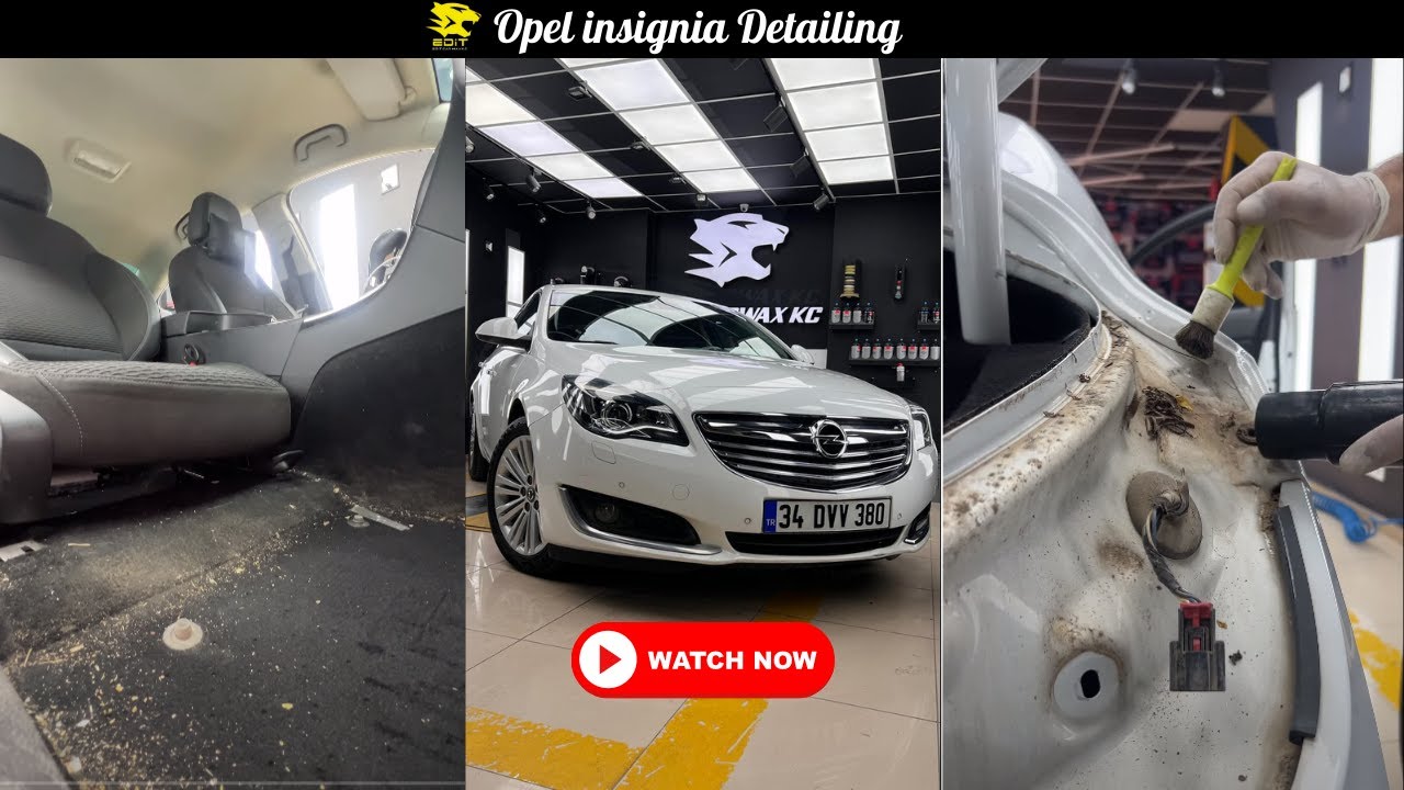 Opel Insignia: Showcasing Its Excellence with Quality Detailed Cleaning