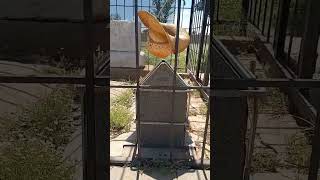 Billy the kid's Grave