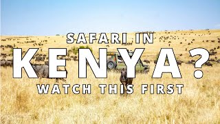 Don’t Book a Safari in Kenya Until You See This Guide | Must See Nairobi Budget Travel Tips