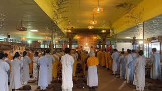 Pháp Đàm NIKAYA - Đảnh Lễ Xưng Tán & Thiền Biết Ơn Thế Tôn !