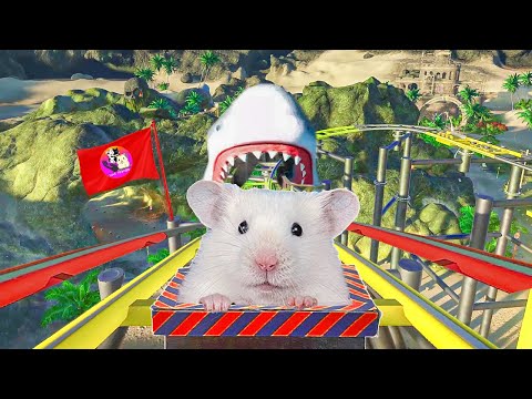 Hamster in Roller Coaster with Shark