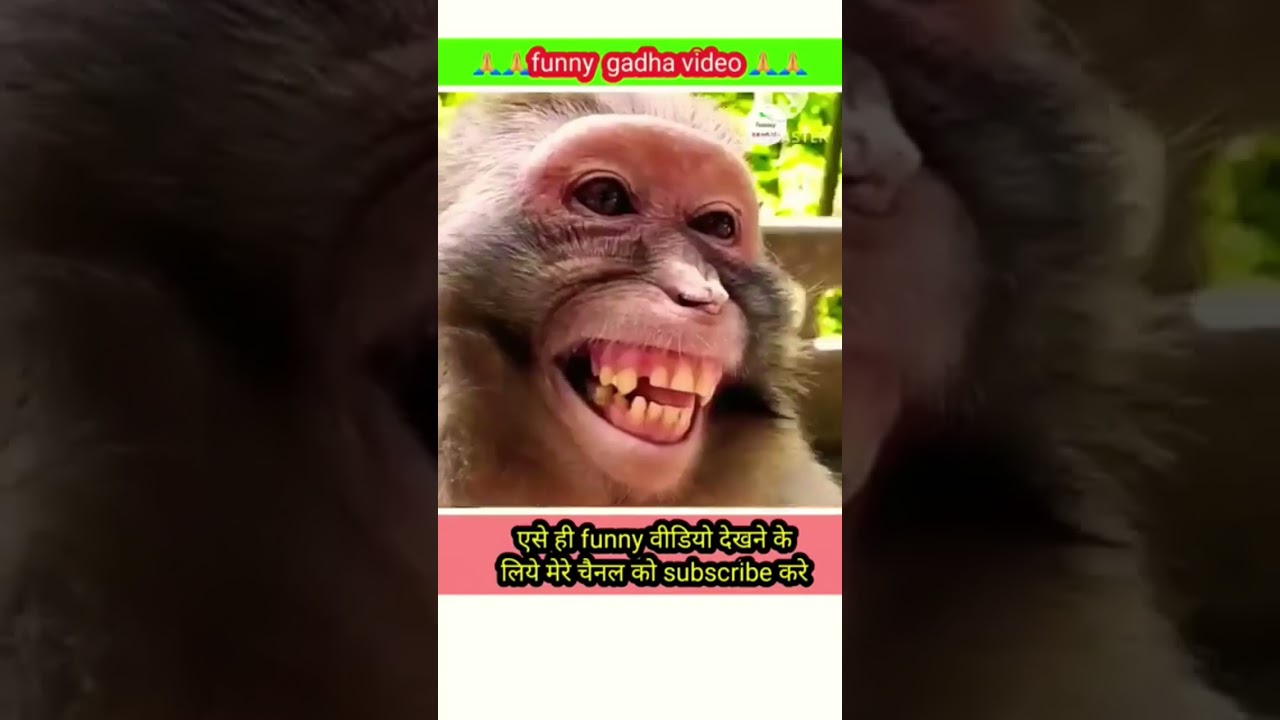 Ganesh JiStatus Karu Vandan Hey Shiv Nandan Teri Charno Ki Dhul Hai Chandan YLOVEYAYT  - Hindi Status Tube