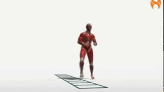 Exercise Videos- Four Step Shuffle -- Quick Feet
