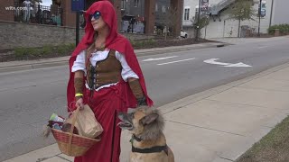 Woofstock fundraiser helps pets in Lexington, adopts three dogs