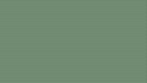 National MSX2 FS-4600 Launch #1