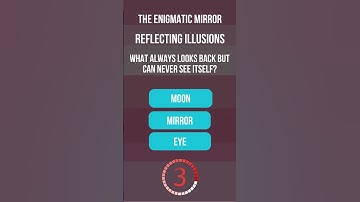 The Enigmatic Mirror #riddle