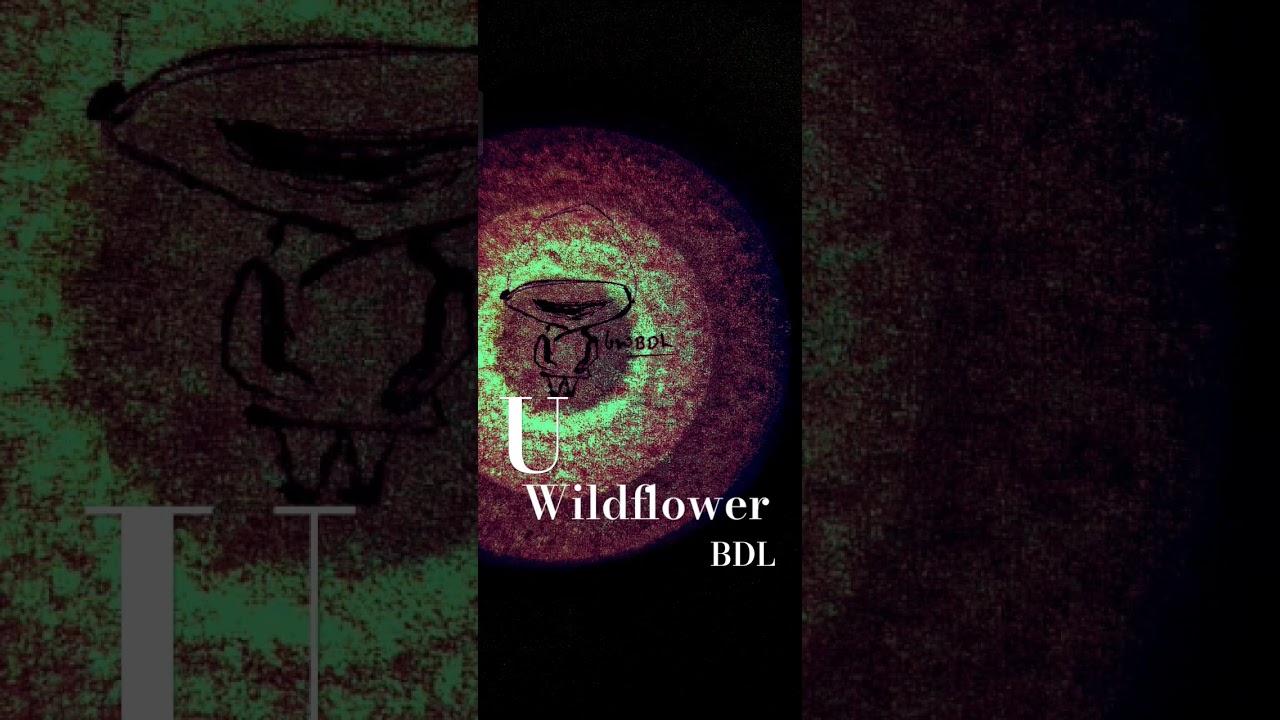 U  Wildflower  BDL