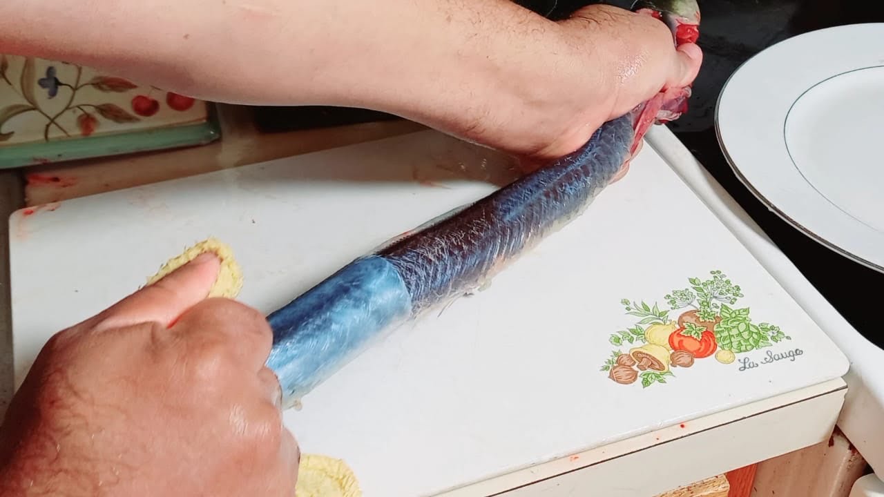 سلخ  تنظيف حنشان او ثعبان البحر