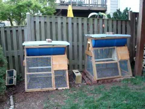 Package Bees Installed in Barrel Top Bar Hive Chicken Coop - YouTube