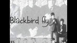 The Beatles - Blackbird (lyrics)