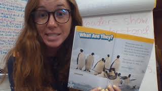 Reading Workshop: Tuesday, September 29th
