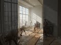 Rebuilding house interior #fypシ #building #artificialintelligence #viral #youtubeshorts #cleaning
