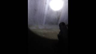 Code Red Airsoft - Zombie night.
