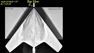 Effect of angle of attack on flow structures on the nonslender flying wing