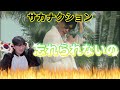 【sakanaction】『忘れられないの』/ Korean Reaction / あの頃の感性✨