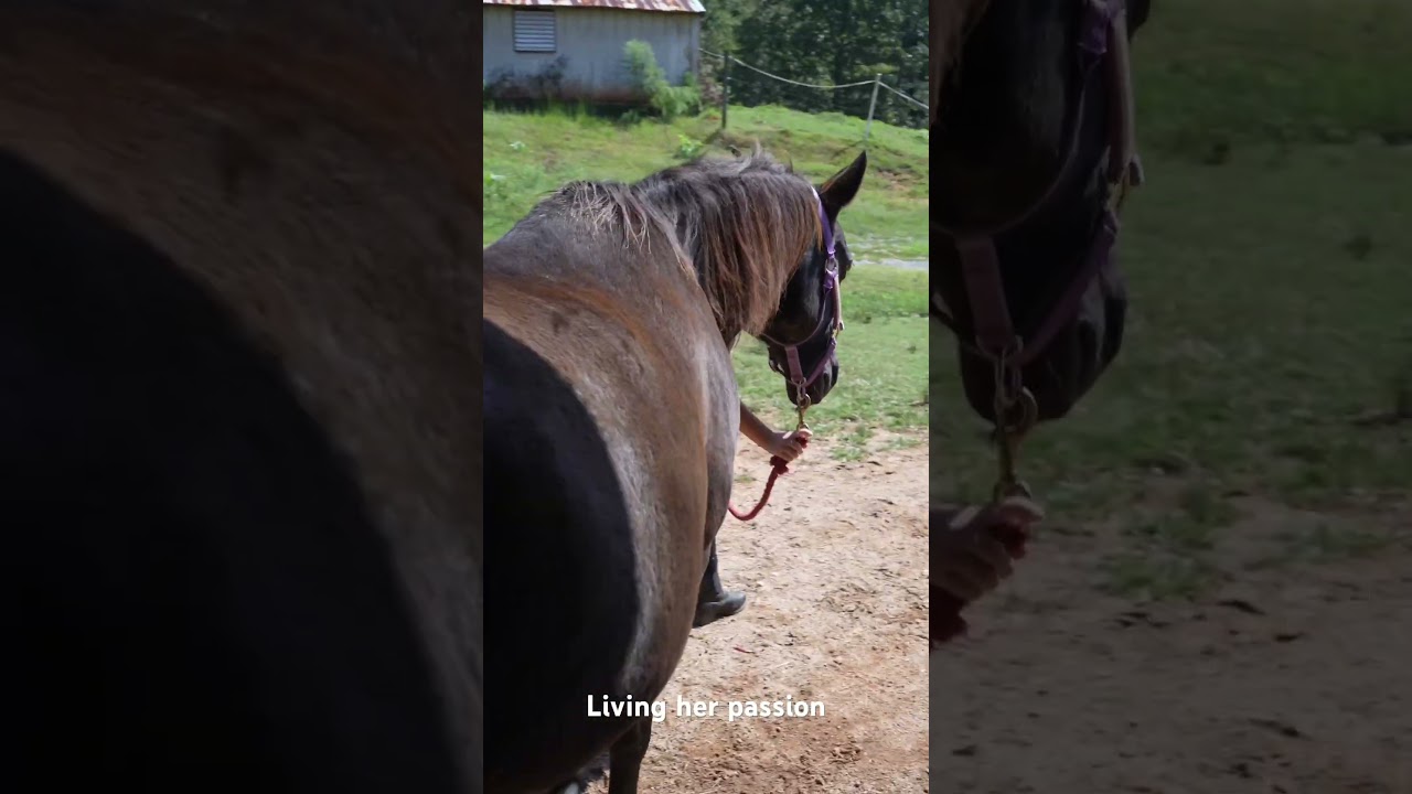 Showing her deep passion for these beautiful animals  🐴❤️ 