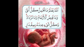 Recitation sourate Maryam    سورة مريم  كاملة  اسلام صبحي بنية تثبيت الحمل  والإنجاب وسلامة الجنين