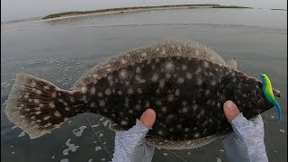 Flats and Bar Flounder (Fluke) Fishing with New Gulp Color