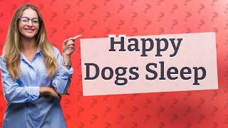 Do happy dogs sleep a lot?