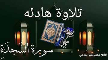 سورة السجدة بصوت القارئ ||محمد وليد الشرعبي||